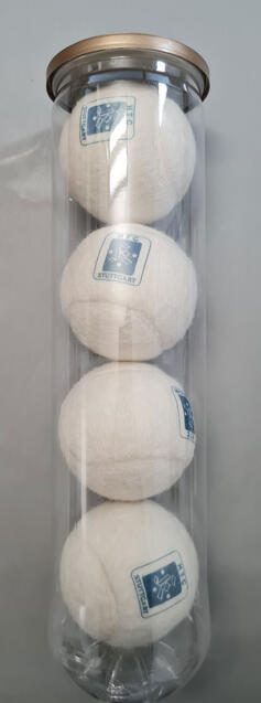 Plastikdose mit 4 Tennisbälle