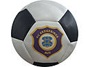 Sottball FC Erzgebirge Aue