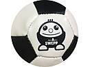 Softball SWEPP