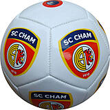 PVC Promotion Fußball