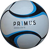 PU/PVC Training Fußball PLUS
